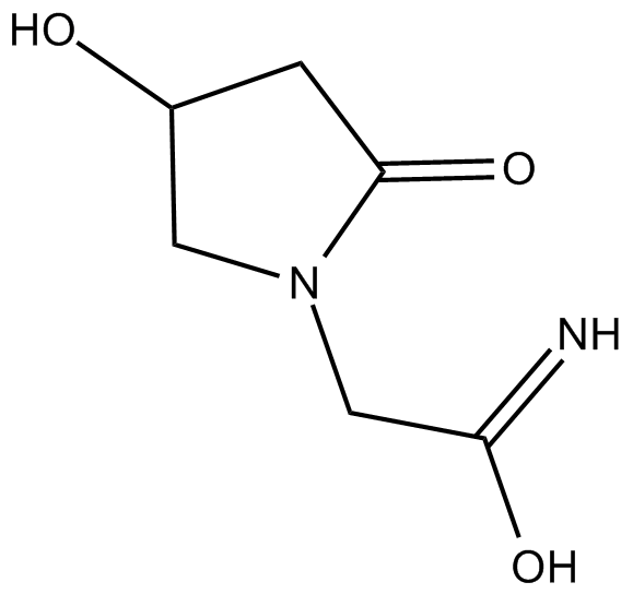 Oxiracetam  Chemical Structure