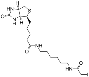 Iodoacetyl-LC-Biotin 化学構造