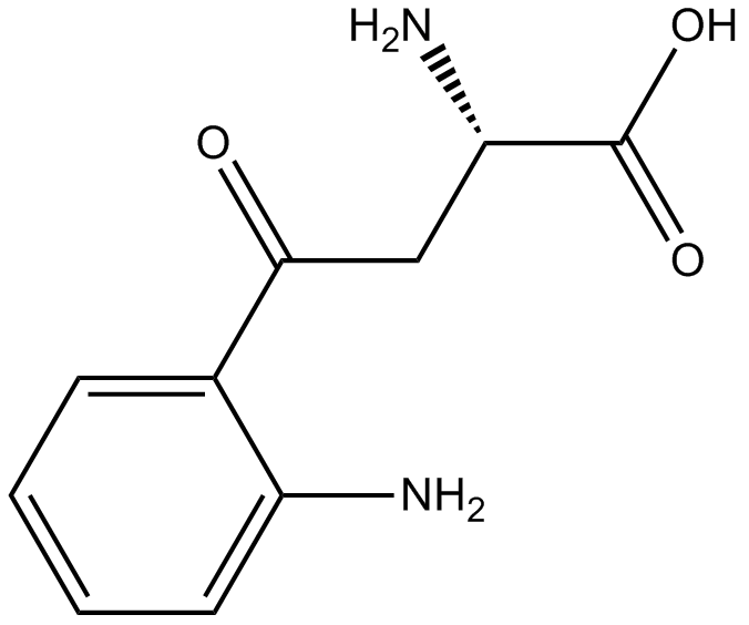 L-Kynurenine 化学構造