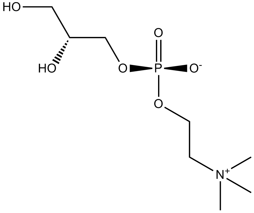 sn-Glycero-3-phosphocholine 化学構造