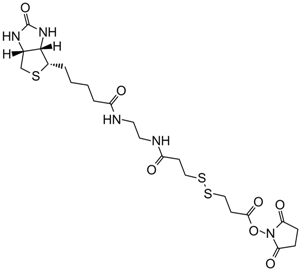 NHS-SS-Biotin التركيب الكيميائي