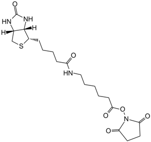 NHS-LC-Biotin Chemische Struktur