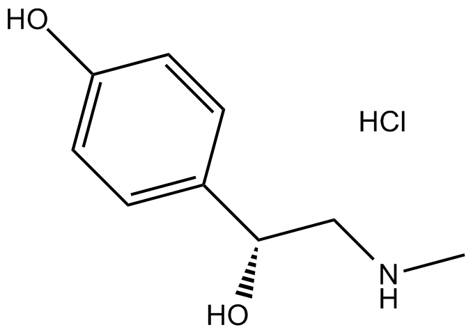 Synephrine HCl Chemische Struktur