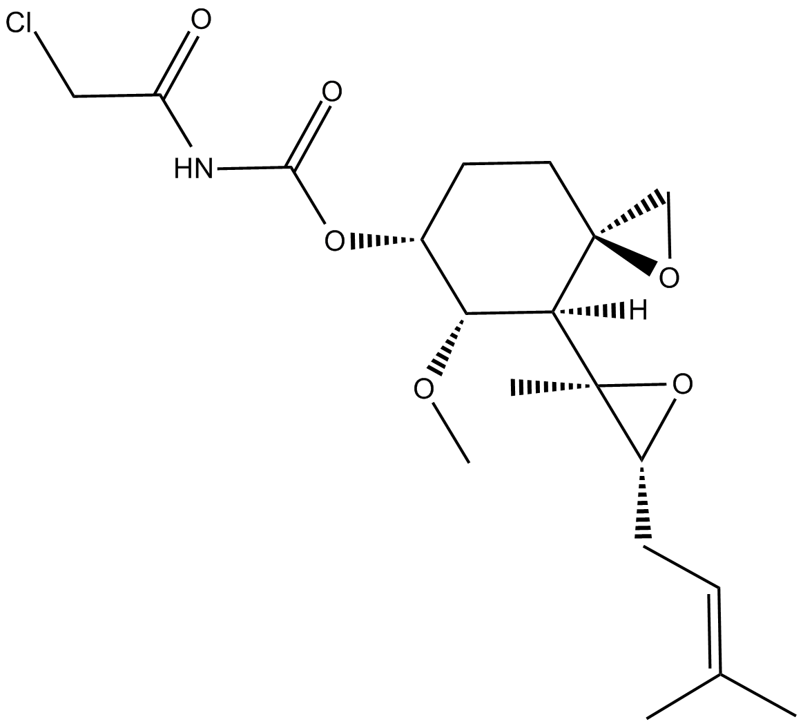 TNP-470 化学構造