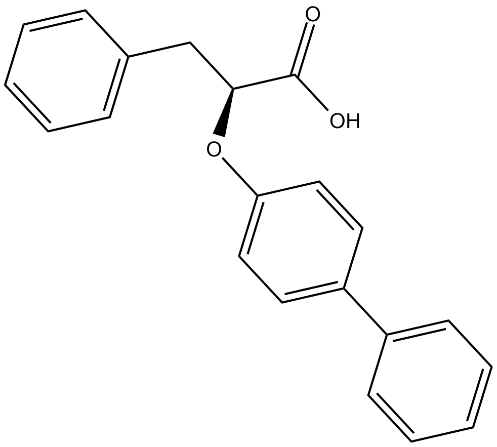 LT175 化学構造