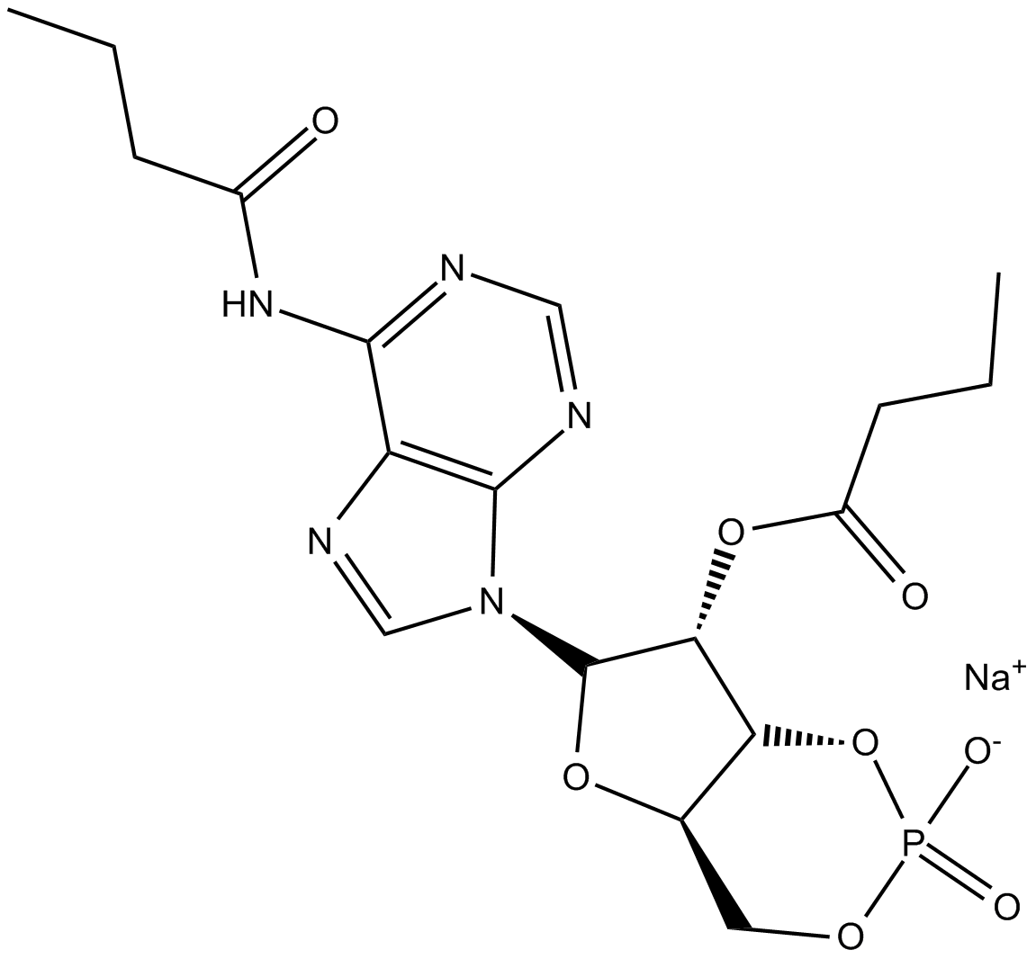 Dibutyryl-cAMP, sodium salt  Chemical Structure