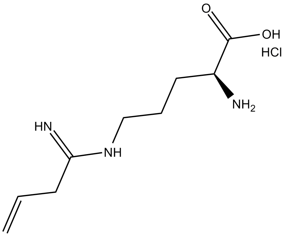 Vinyl-L-NIO (hydrochloride) 化学構造