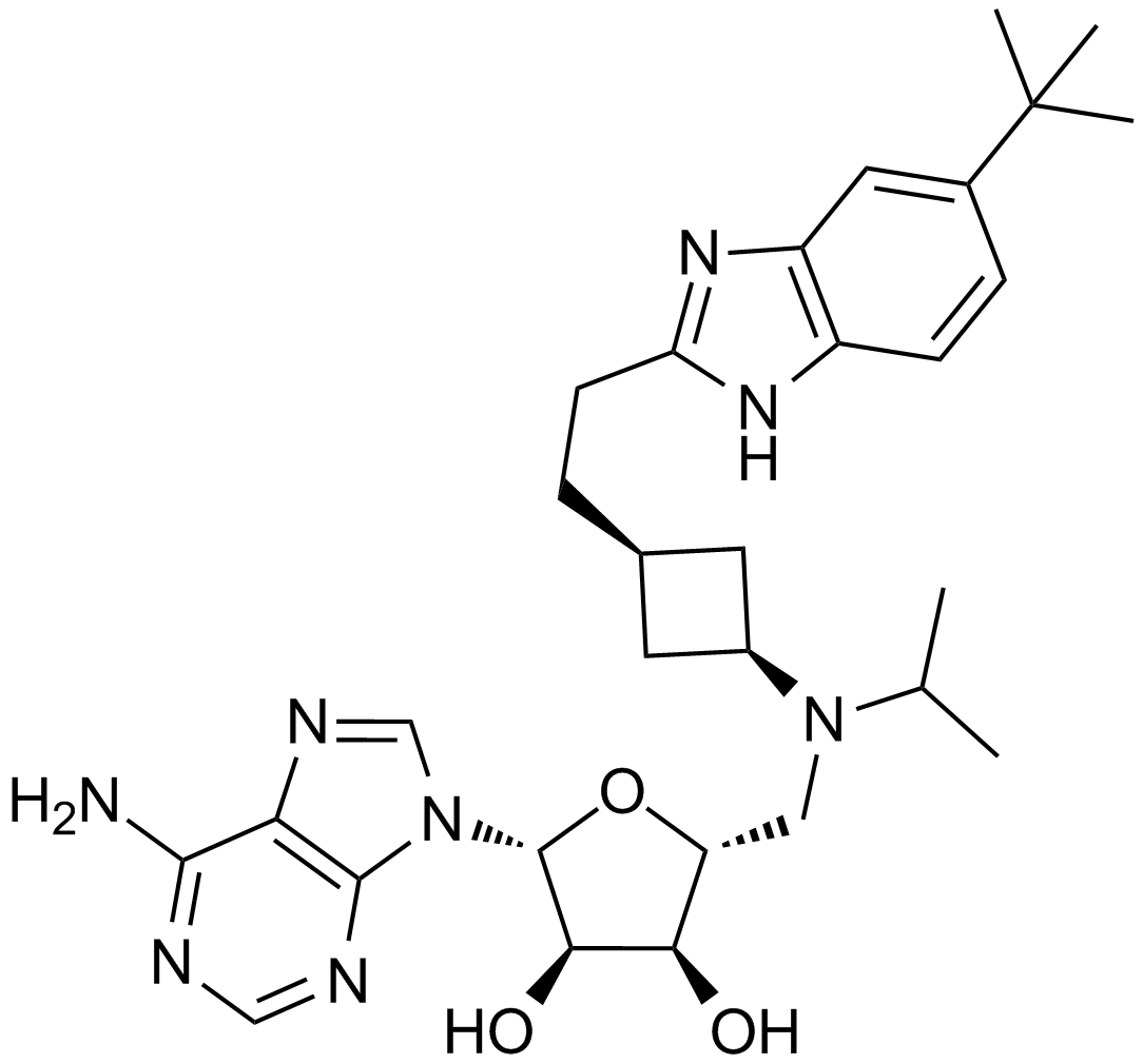 EPZ5676 Chemische Struktur