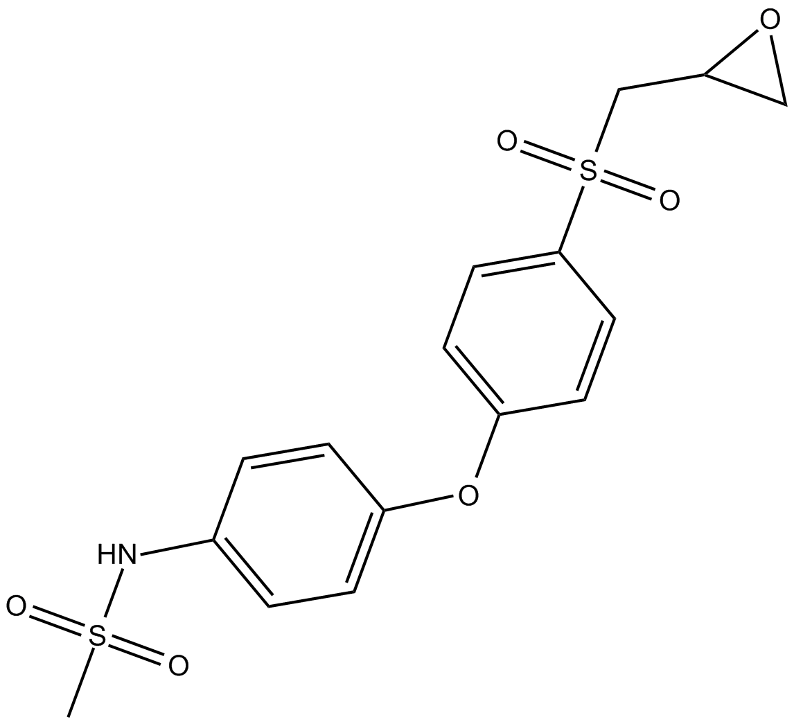 MMP-2 Inhibitor II 化学構造