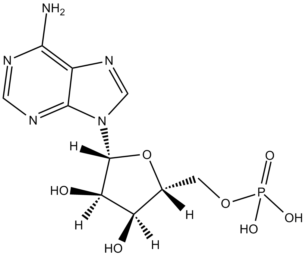 Adenosine 5-monophosphate التركيب الكيميائي