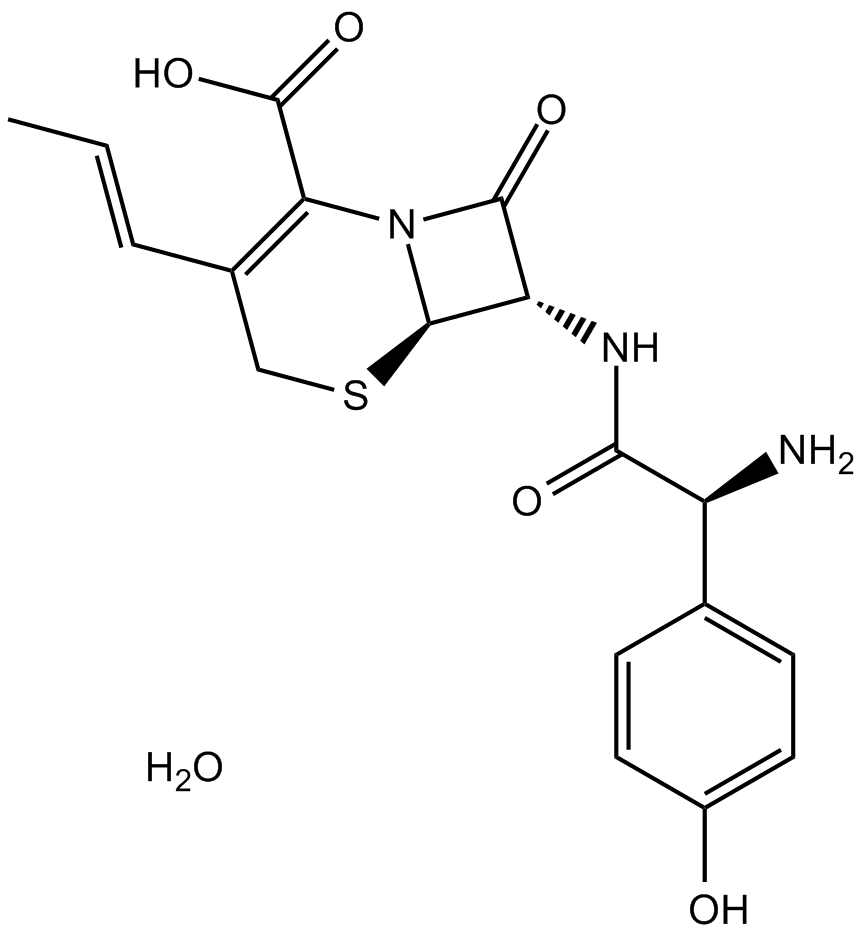 Cefprozil hydrate  Chemical Structure