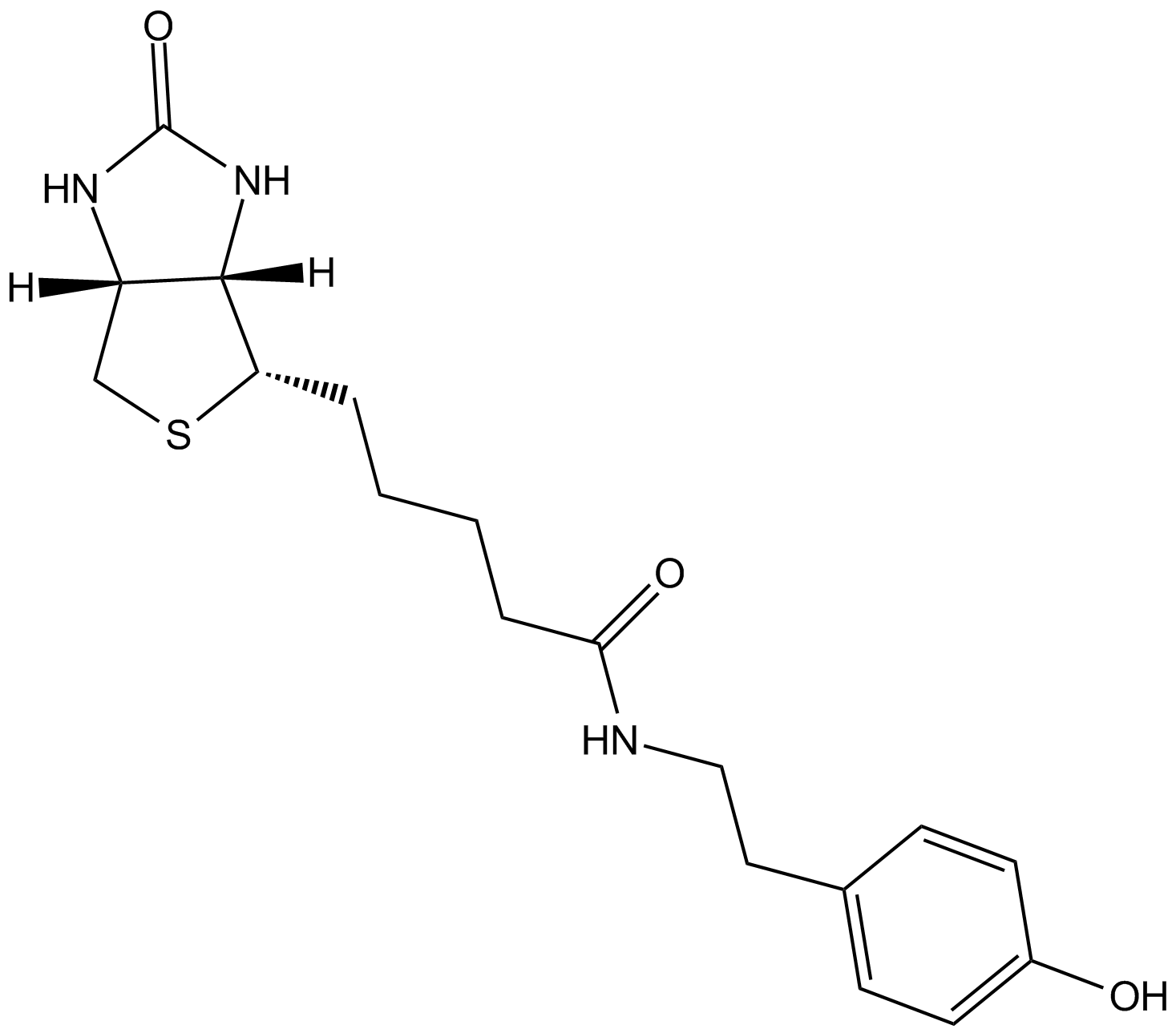 Biotin-tyramide 化学構造