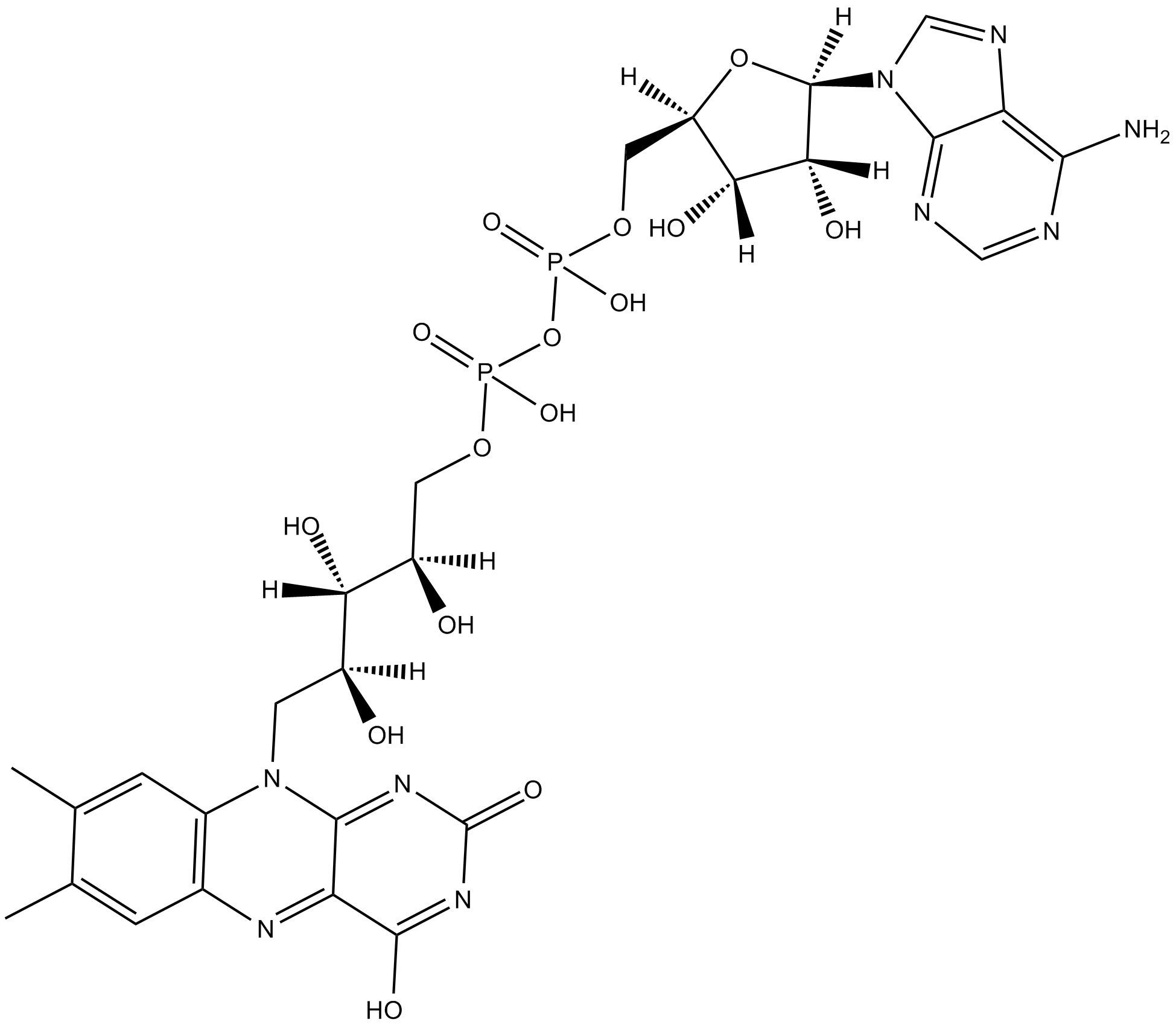 Flavin adenine dinucleotide 化学構造