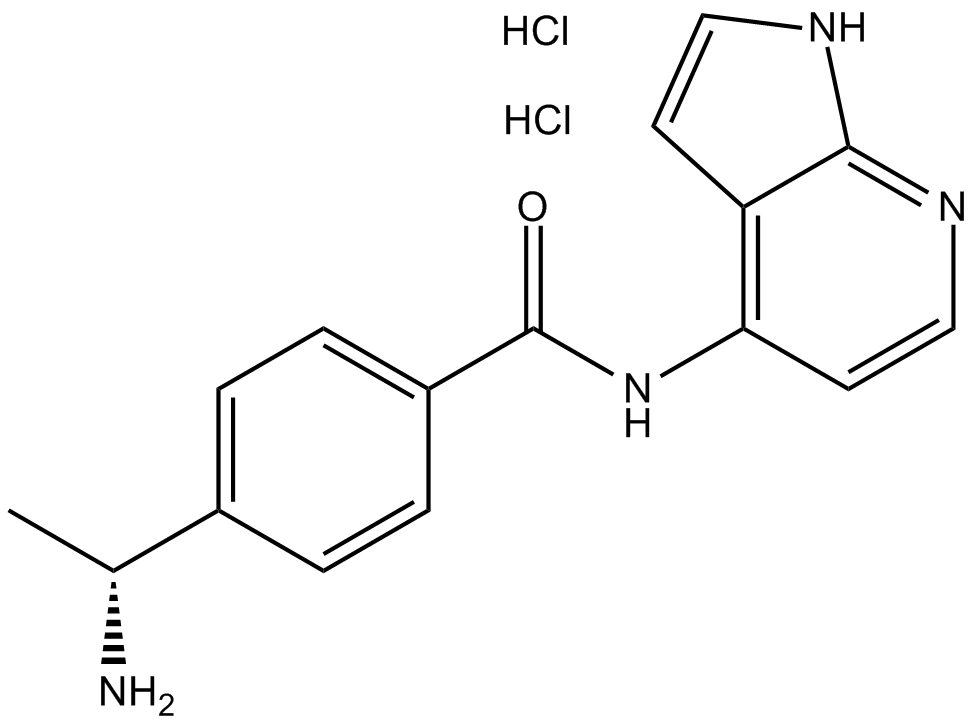 Y-39983 dihydrochloride 化学構造