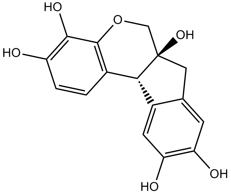 Hematoxylin 化学構造