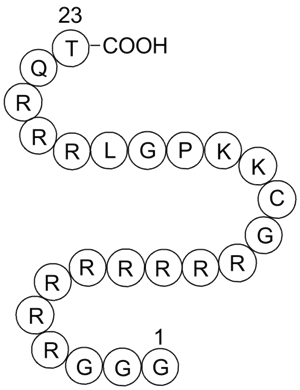 R8-T198wt 化学構造