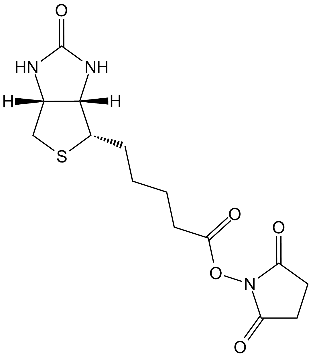 NHS-Biotin Chemische Struktur