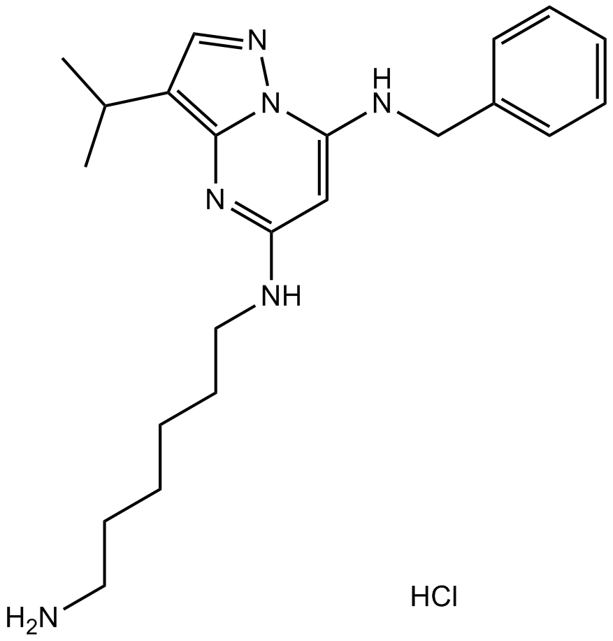 BS-181 HCl Chemische Struktur