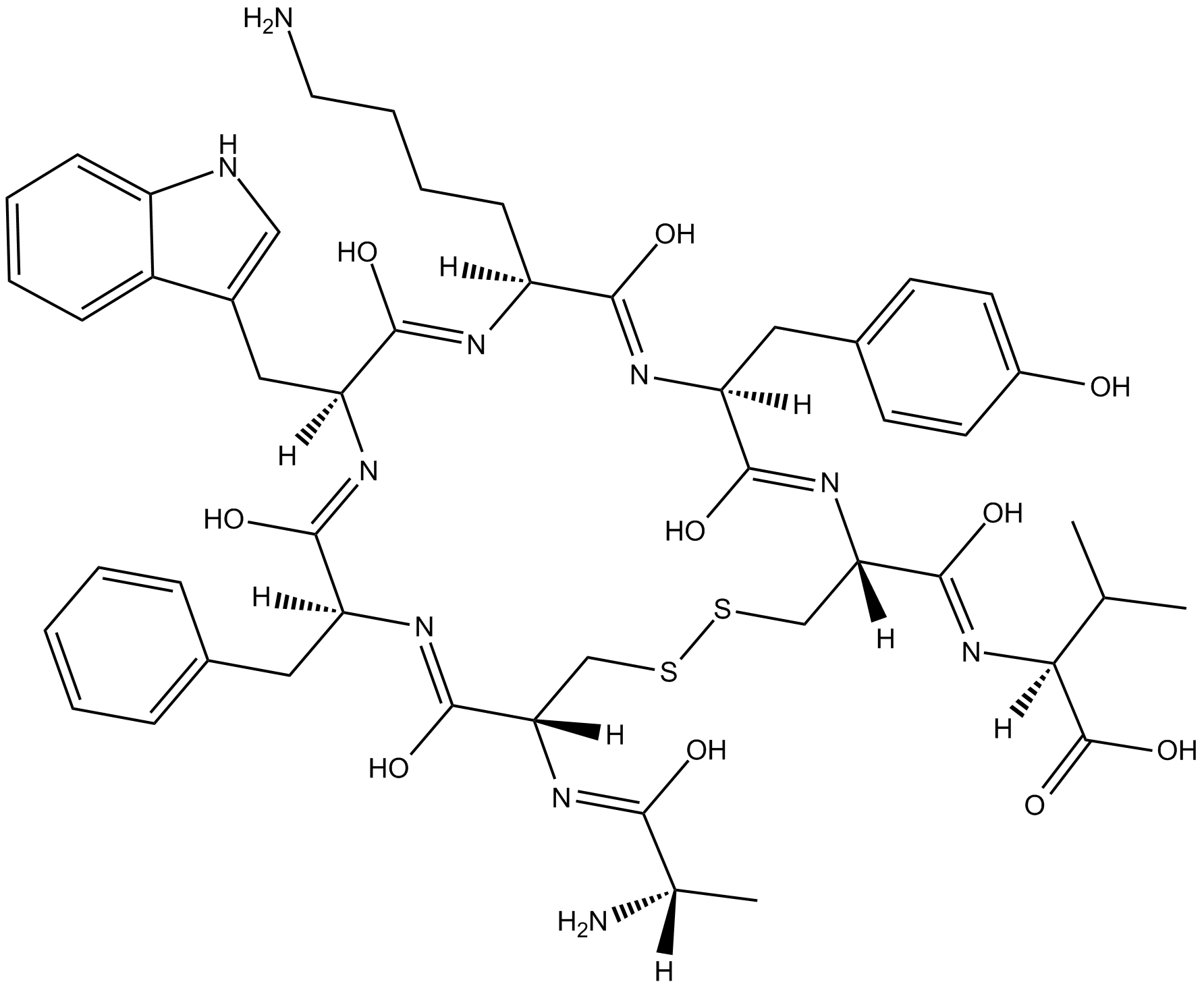 Urotensin II-related peptide 化学構造