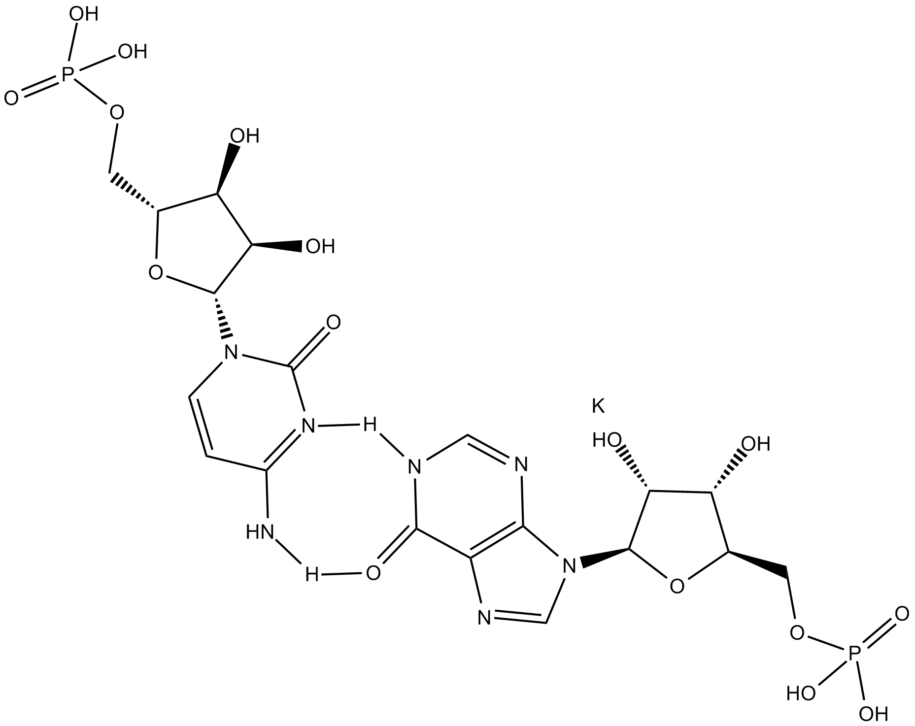 Polyinosinic-polycytidylic Acid (potassium salt) Chemische Struktur