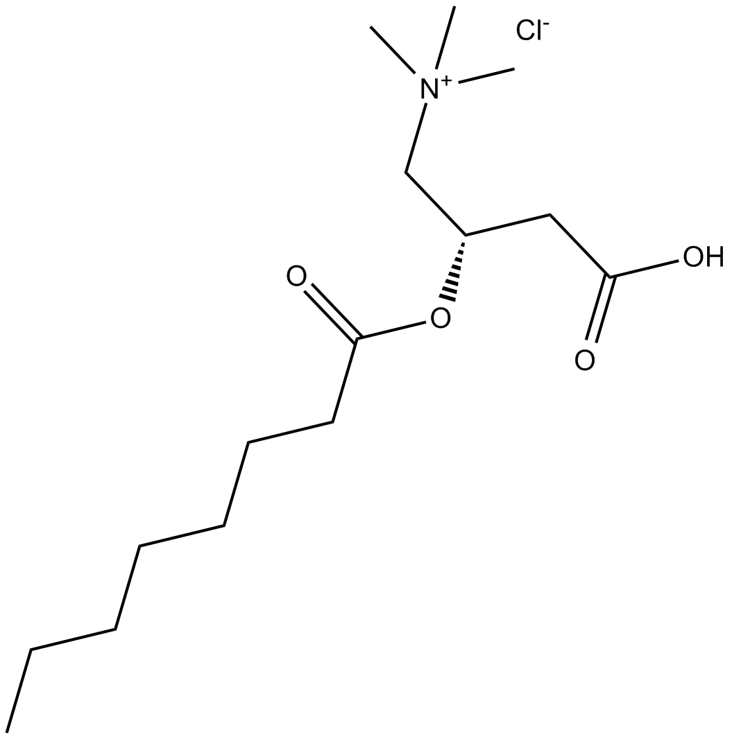 (±)-Octanoylcarnitine chloride 化学構造