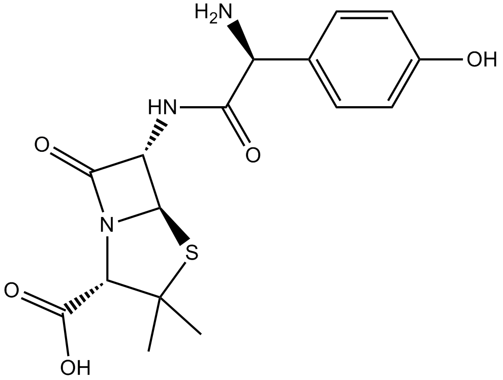 Amoxicillin  Chemical Structure