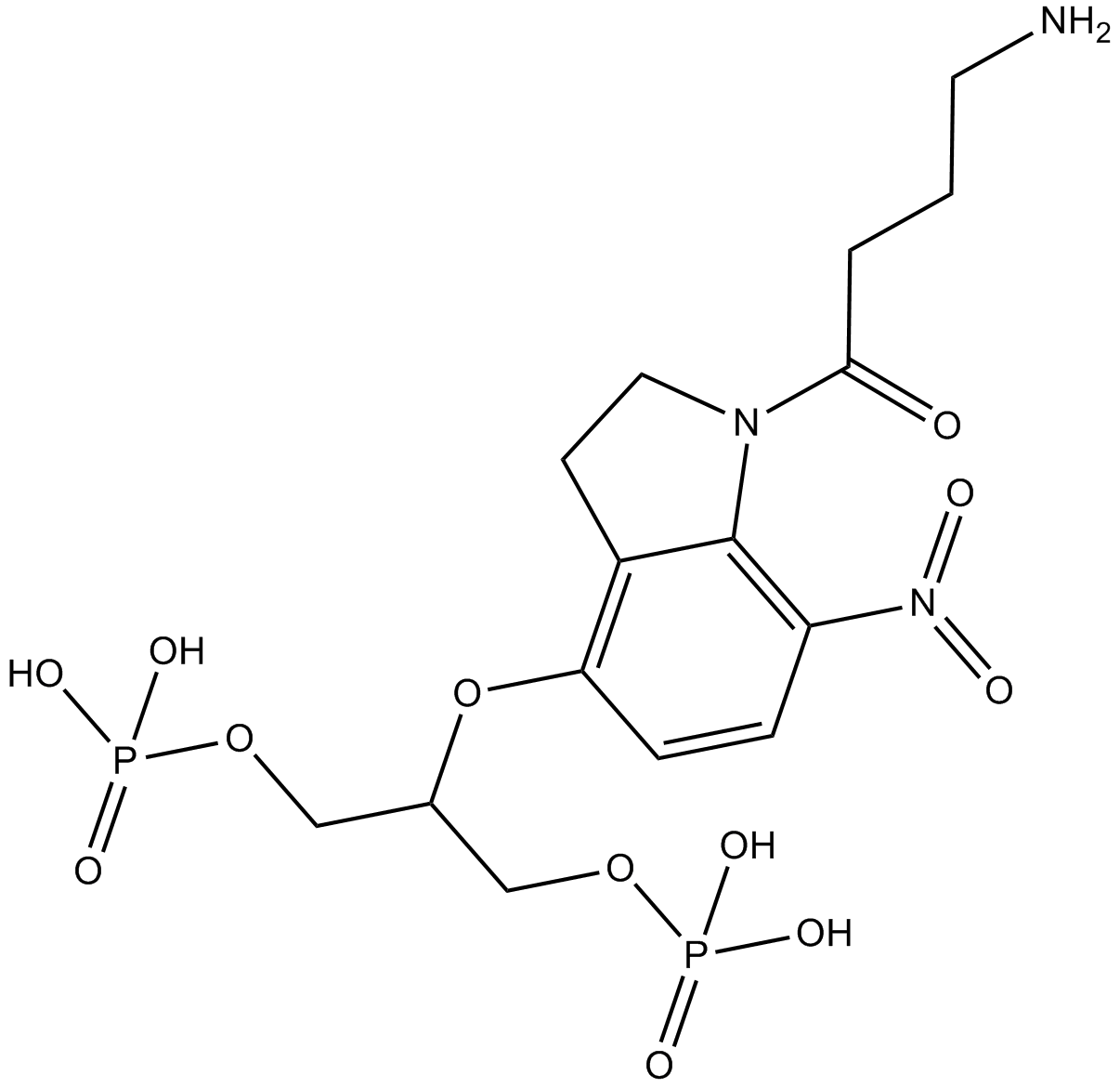DPNI-caged-GABA  Chemical Structure