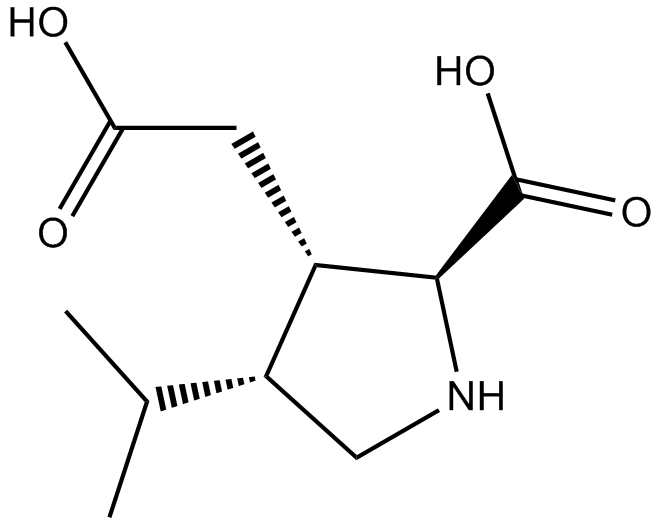 Dihydrokainic acid 化学構造