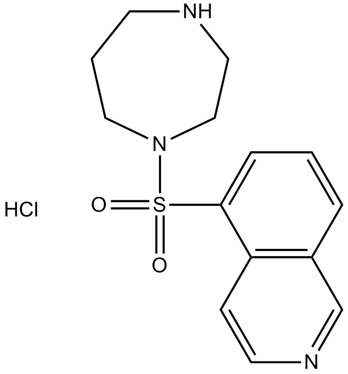 Fasudil (HA-1077) HCl  Chemical Structure