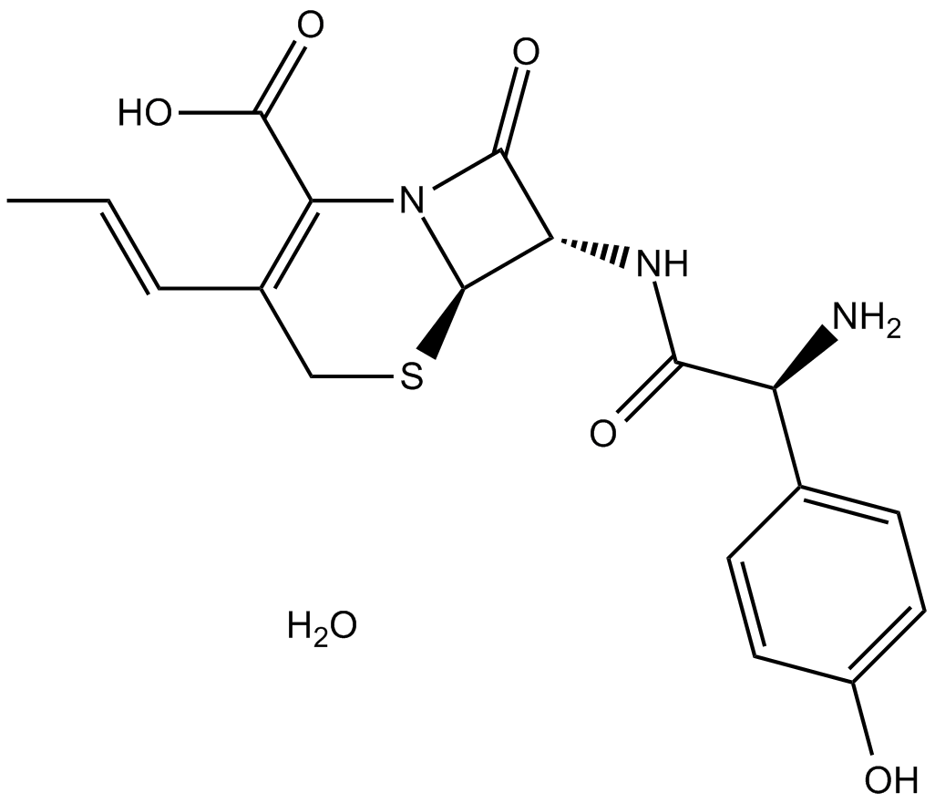 Cefprozil monohydrate Chemische Struktur
