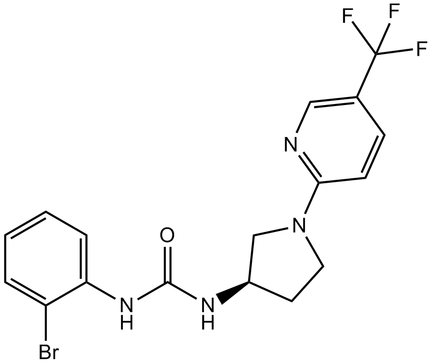 SB705498 化学構造