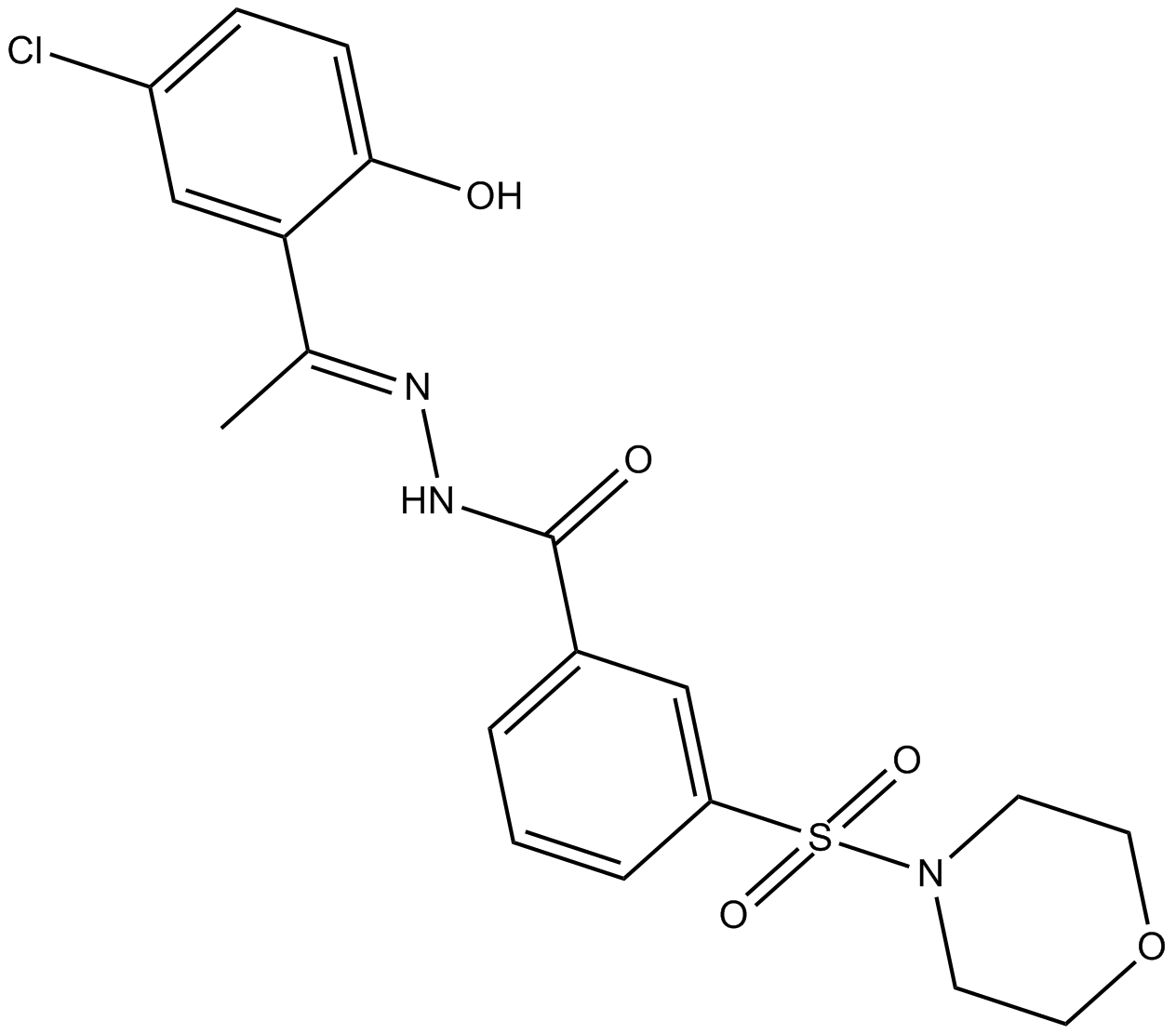 SP2509 化学構造