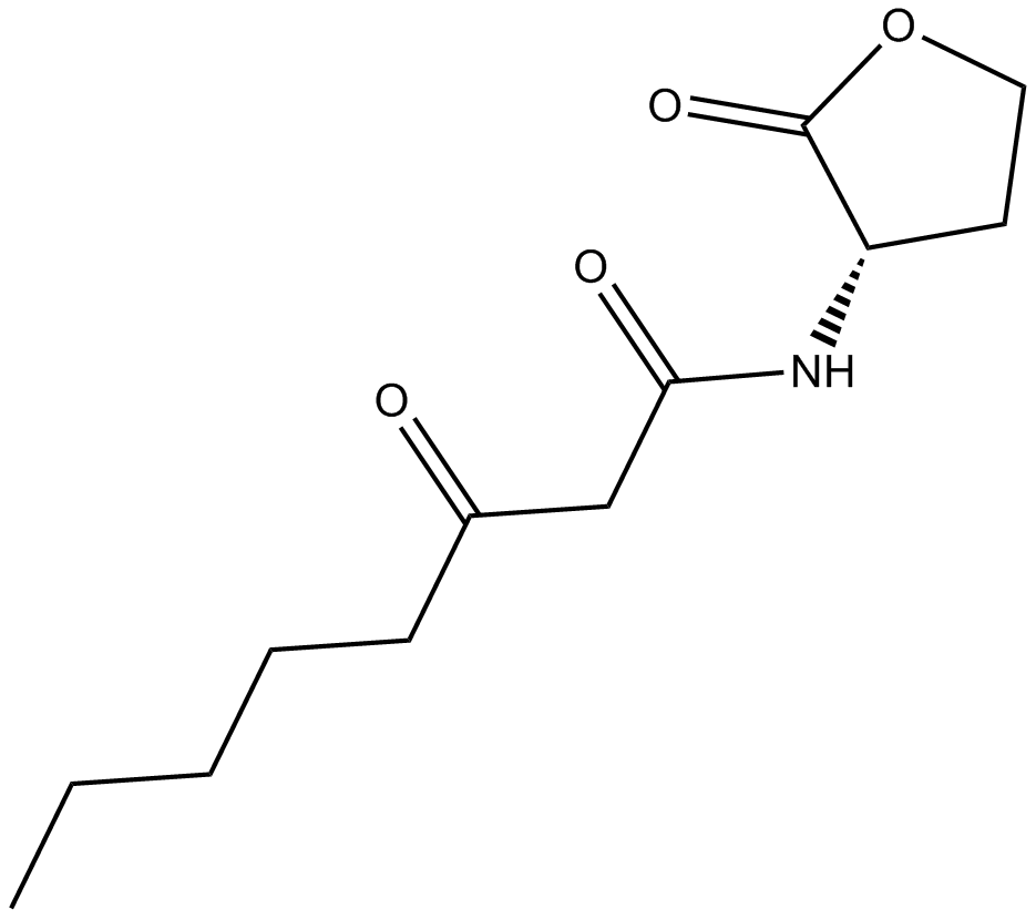 N-3-oxo-octanoyl-L-Homoserine lactone Chemische Struktur