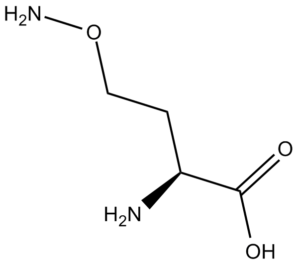 L-Canaline 化学構造
