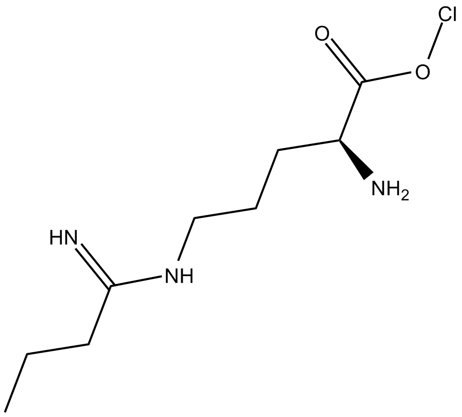 Ethyl-L-NIO (hydrochloride) 化学構造