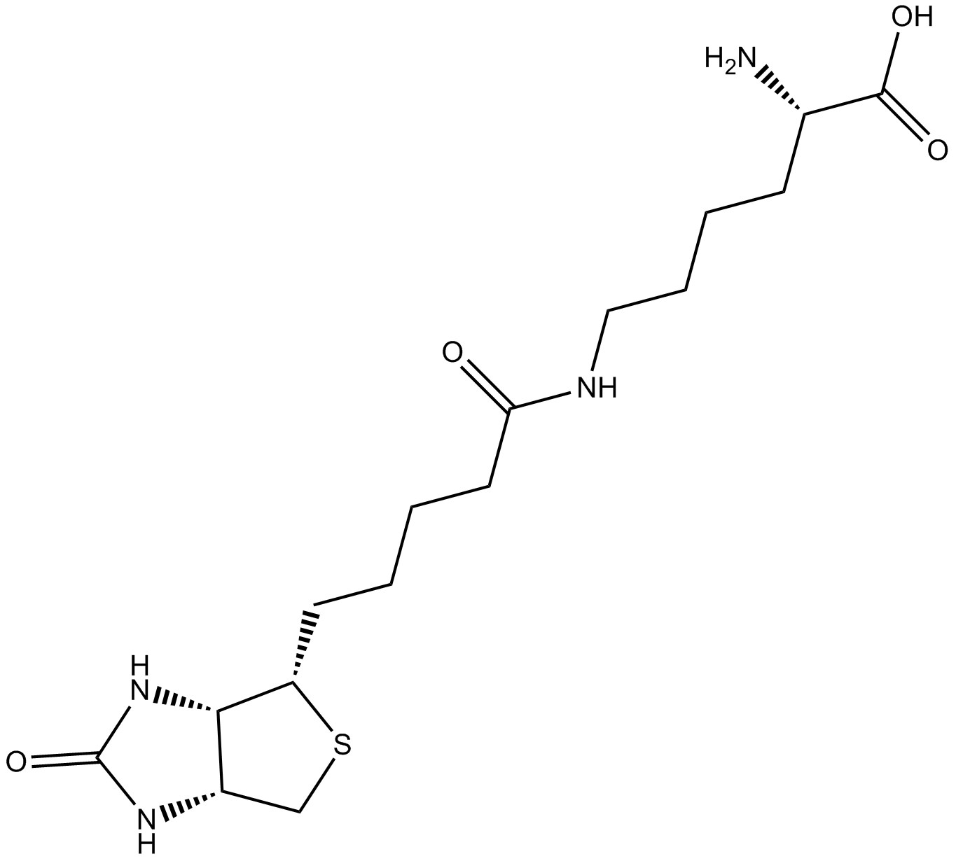Biocytin Chemical Structure