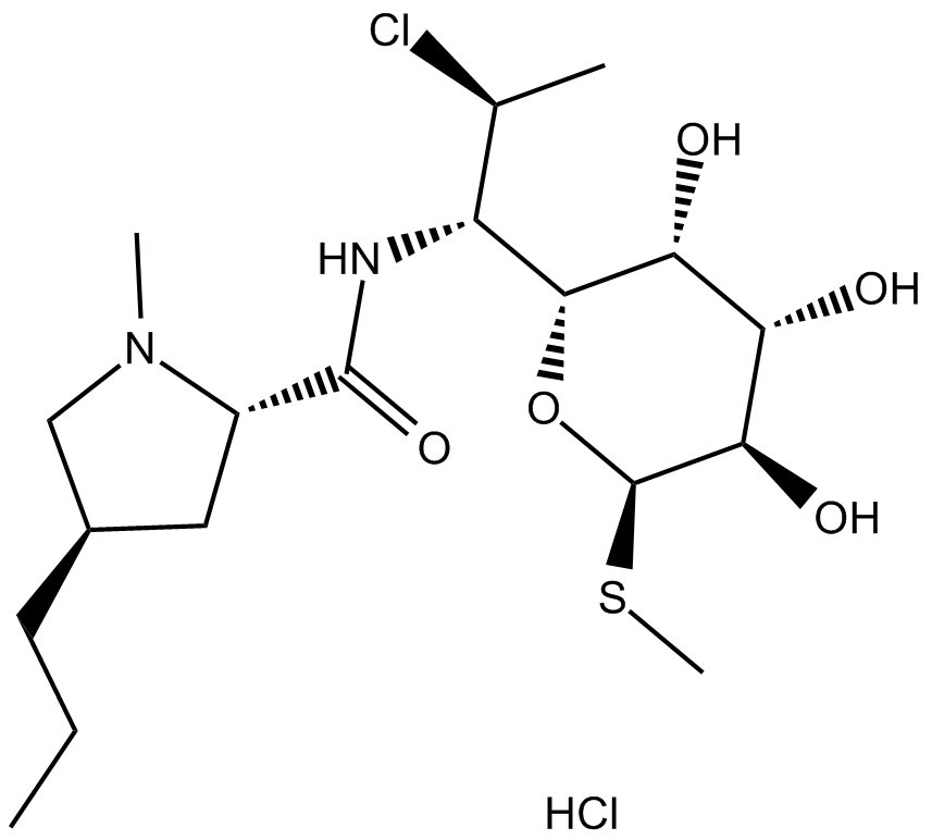 Clindamycin HCl 化学構造