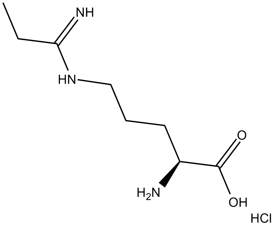 Methyl-L-NIO (hydrochloride) Chemische Struktur