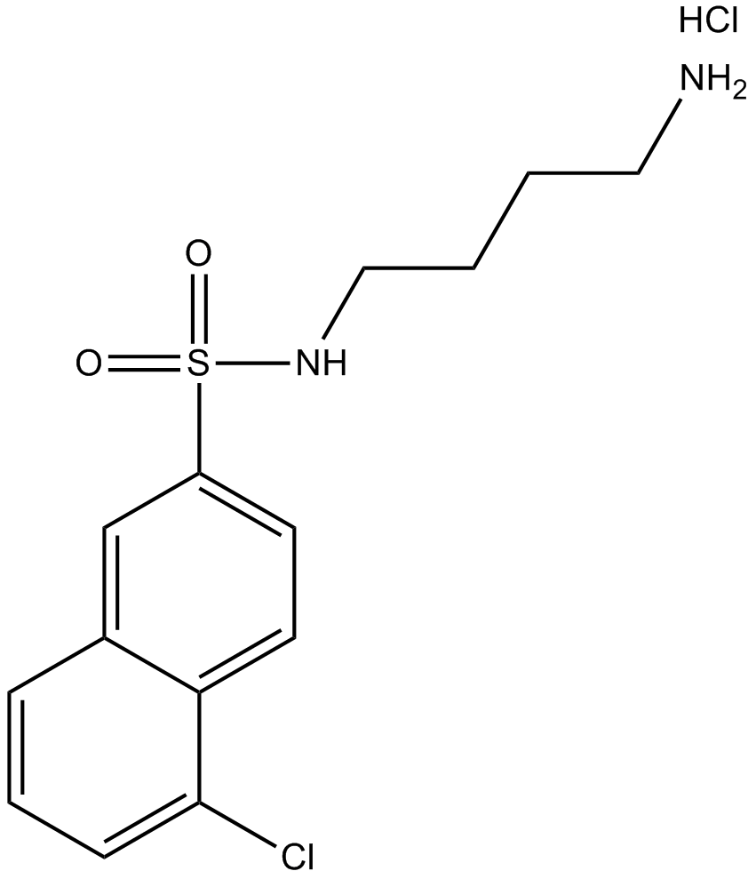 W-13 hydrochloride 化学構造