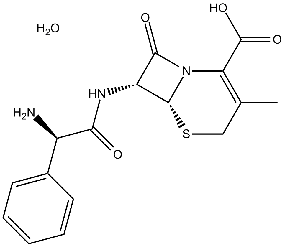 Cephalexin monohydrate  Chemical Structure