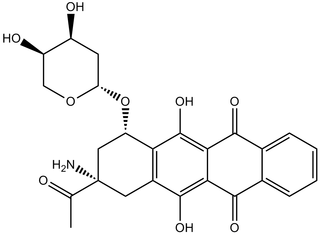Amrubicin 化学構造