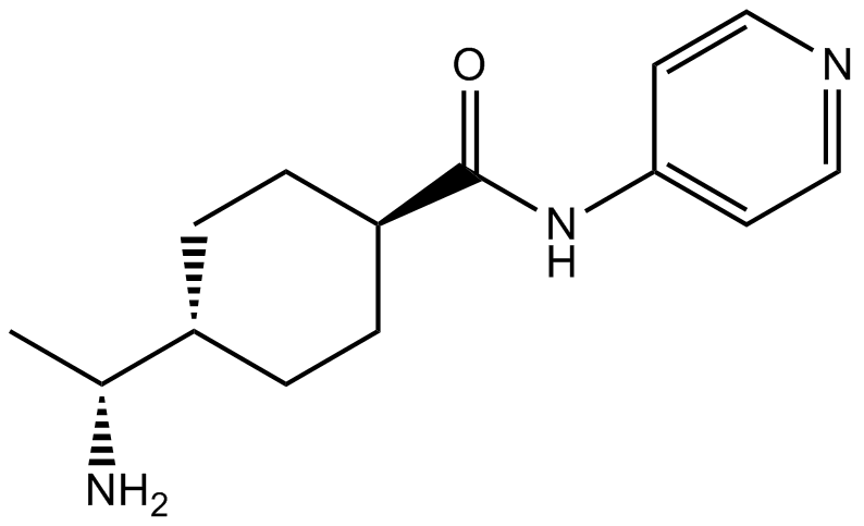 Y-27632  Chemical Structure