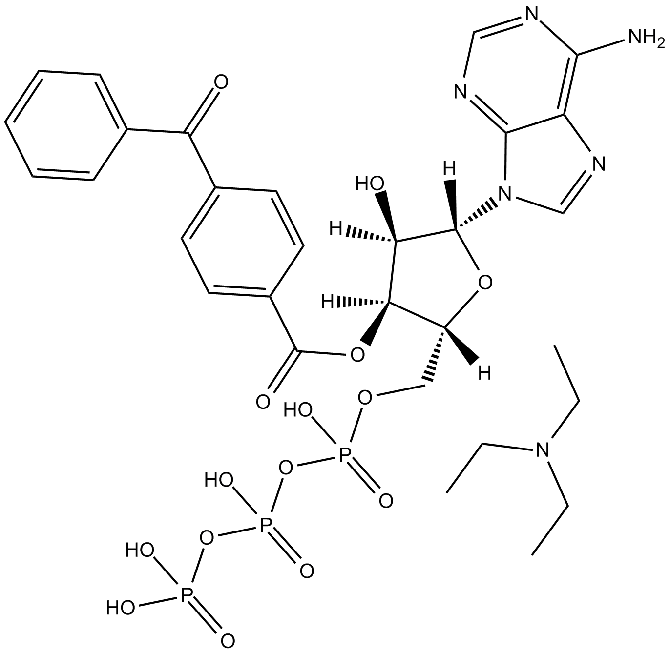 BzATP triethylammonium salt Chemische Struktur