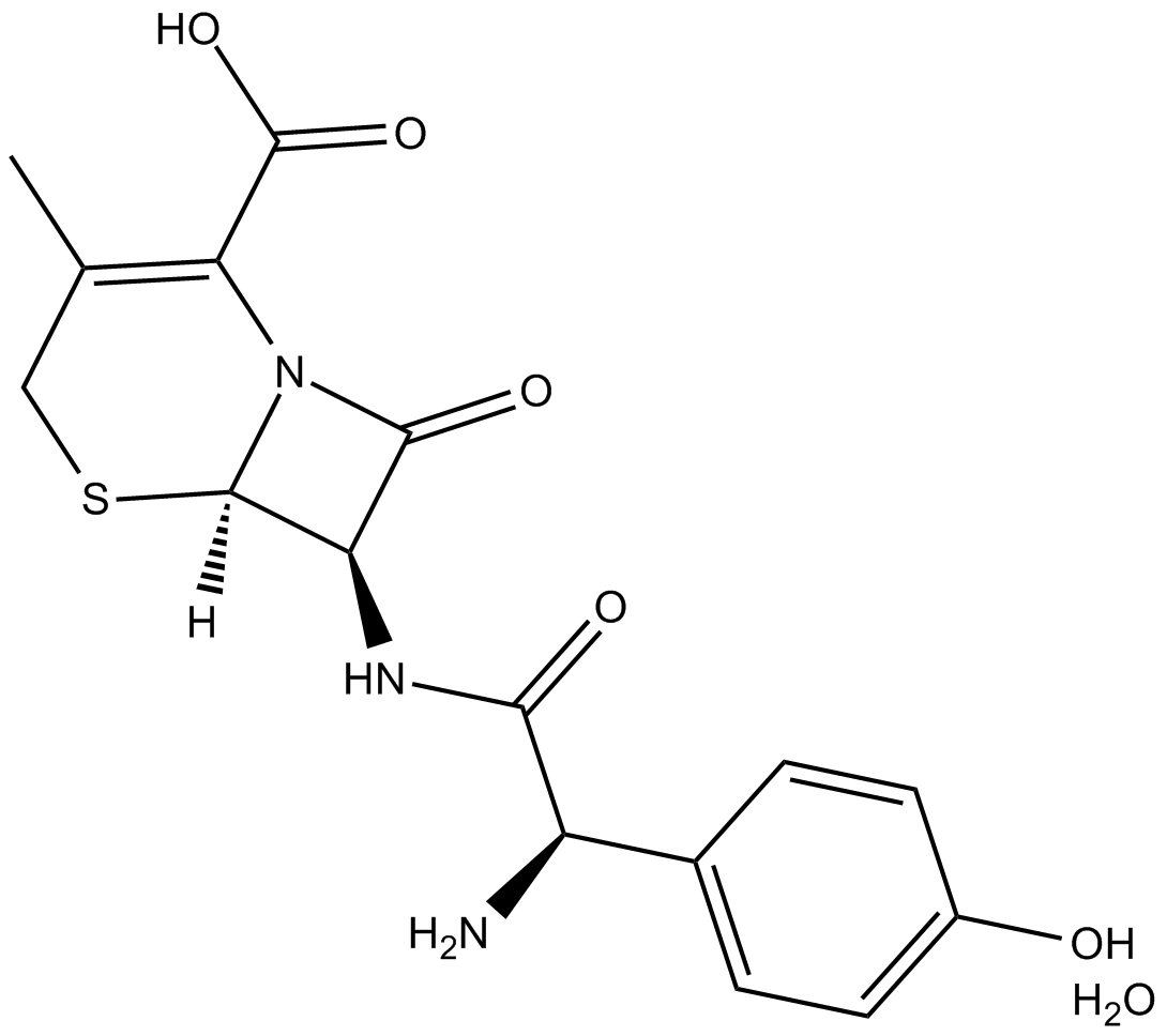 Cefadroxil (hydrate)  Chemical Structure