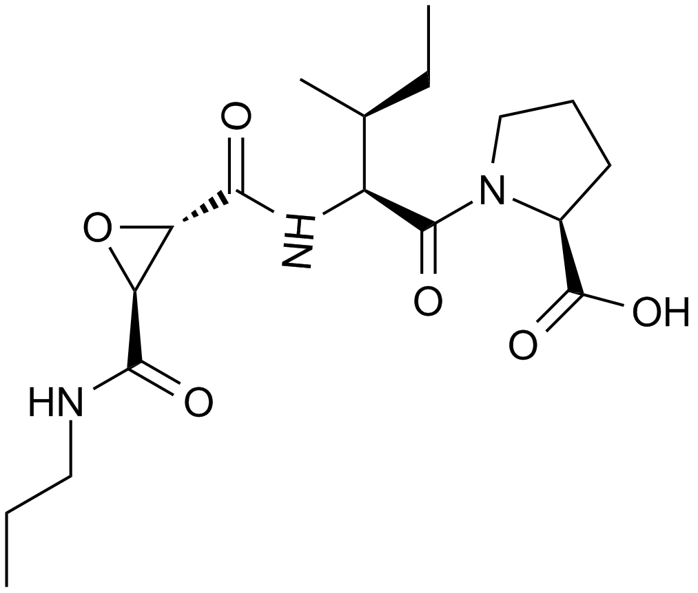 CA 074 化学構造