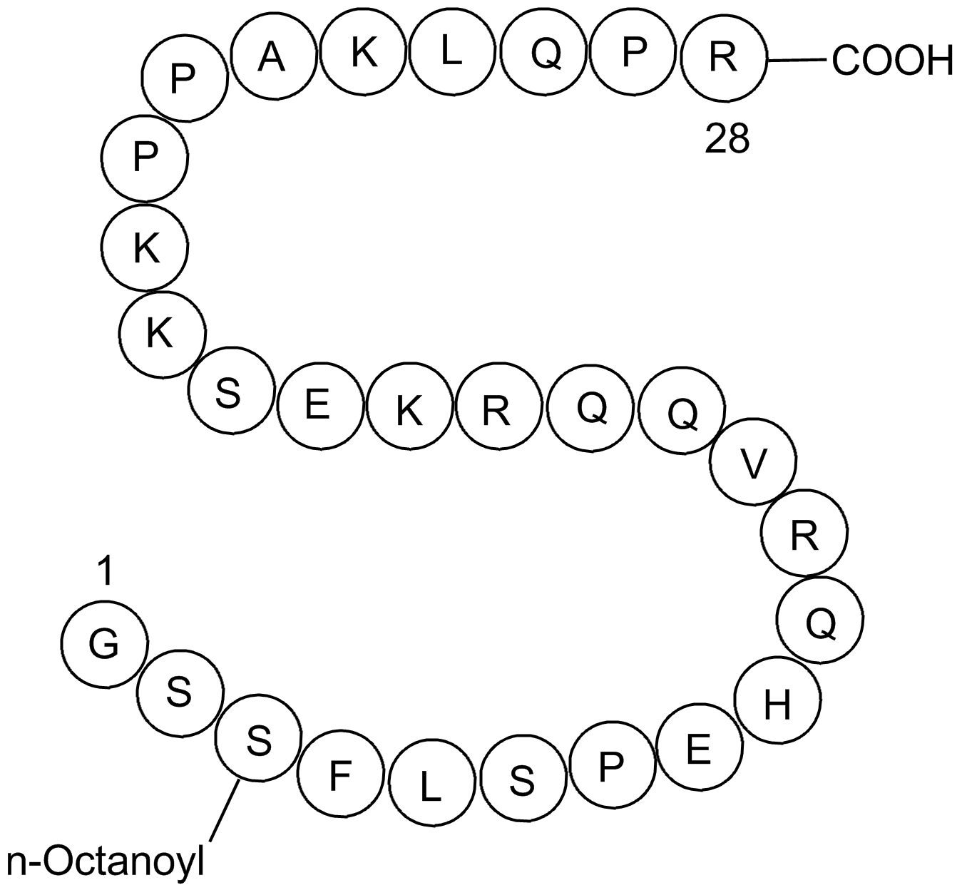 Ghrelin (human) التركيب الكيميائي