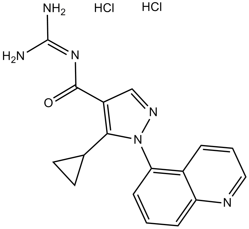 Zoniporide dihydrochloride التركيب الكيميائي