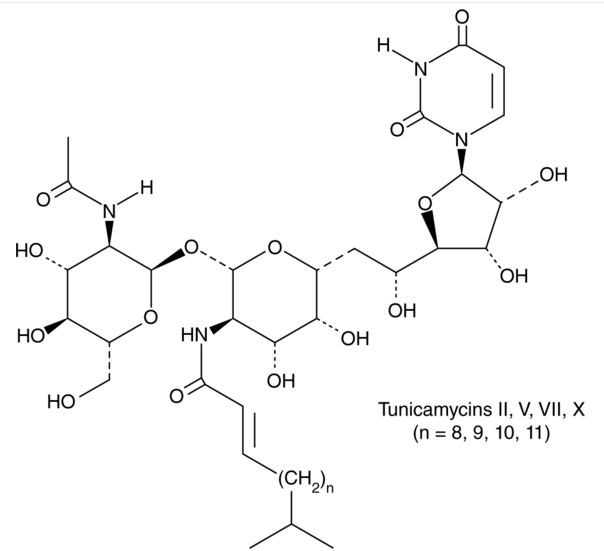 Tunicamycin Mixture التركيب الكيميائي