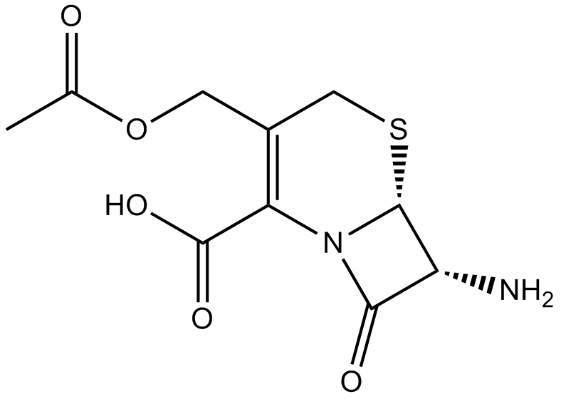 7-Aminocephalosporanic acid 化学構造