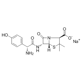 Amoxicillin Sodium 化学構造